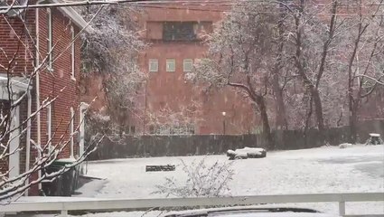 Virginia's winter wonderland