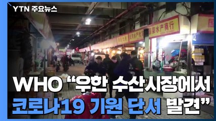 WHO "우한 수산시장에서 코로나 기원 중요 단서 발견" / YTN