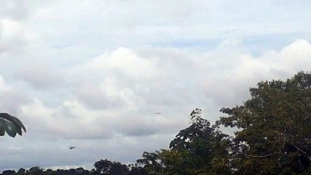 Embraer 195 PR-AXR na aproximação final antes de pousar em Manaus vindo de Santarém
