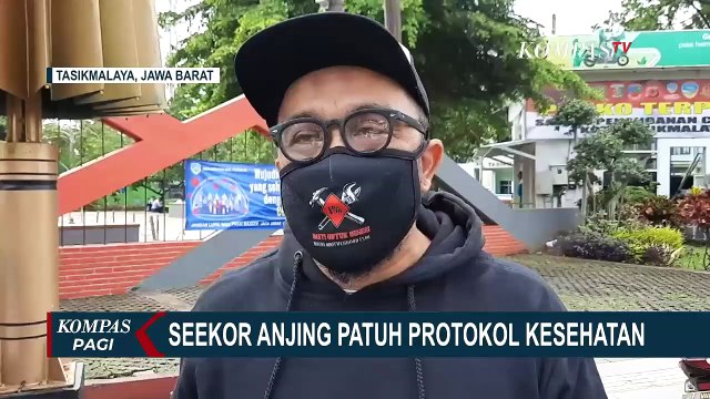 Viral! Seekor Anjing Patuhi Protokol Kesehatan