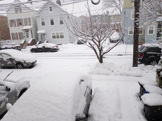 It's snowing again!!! (7 February 2021)