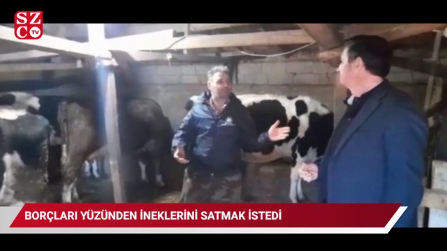 Borçları yüzünden ineklerini satmak isteyen çiftçi