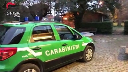 Roma - Caporalato a Ostia, lavoratori vivevano in baracche vicino discarica (06.02.21)