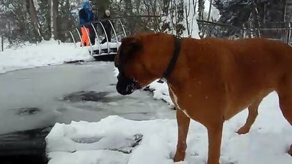 Snowy Sunday walk with Patou