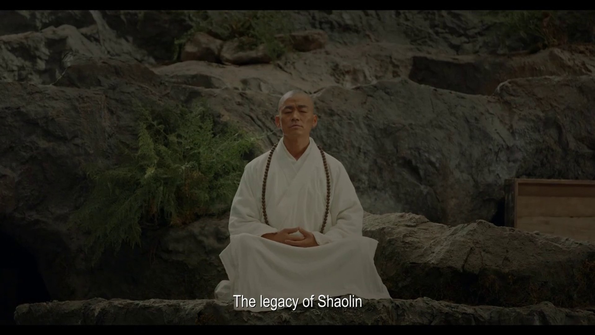 Rising Shaolin The Protector Movie Video Dailymotion