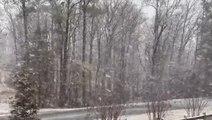Much of Virginia coated with snow by Sunday storm