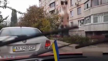 Videos De Risa 2020 nuevos -- Animales Graciosos - Gatos y Perros Chistosos