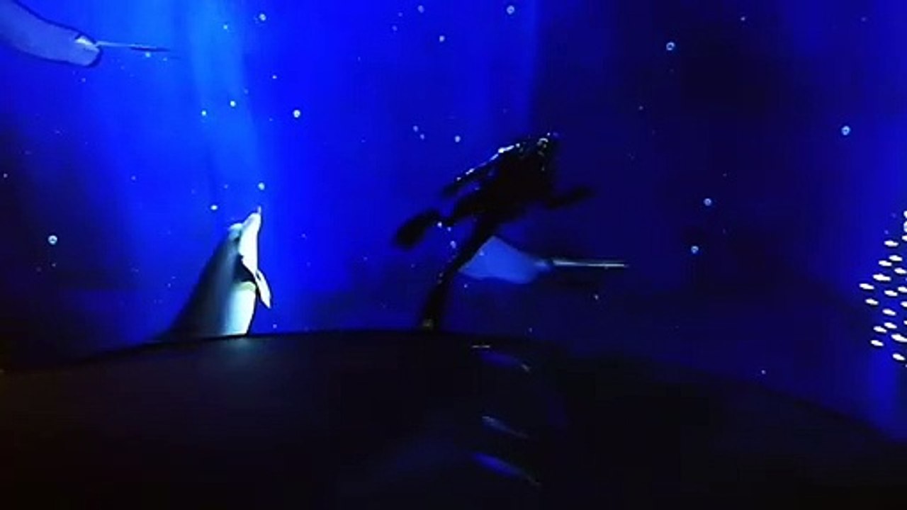 Sea...？