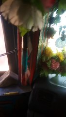 pashto new majlas 22021