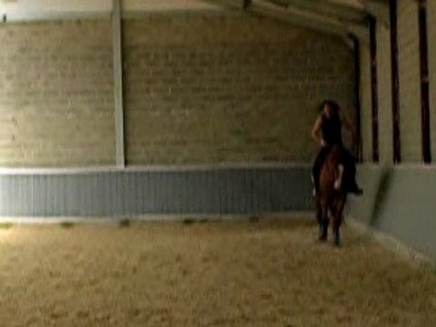 Débourrage Equinoxe début du travail monté