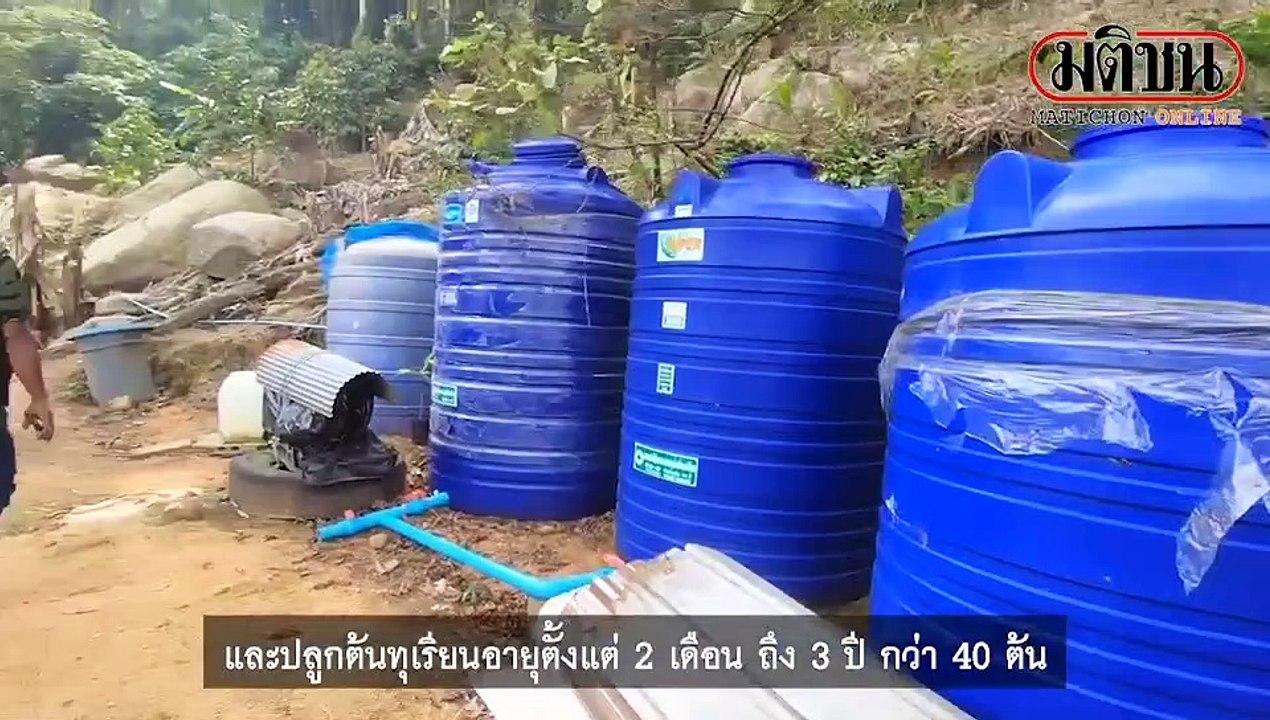 บุกรุกป่า