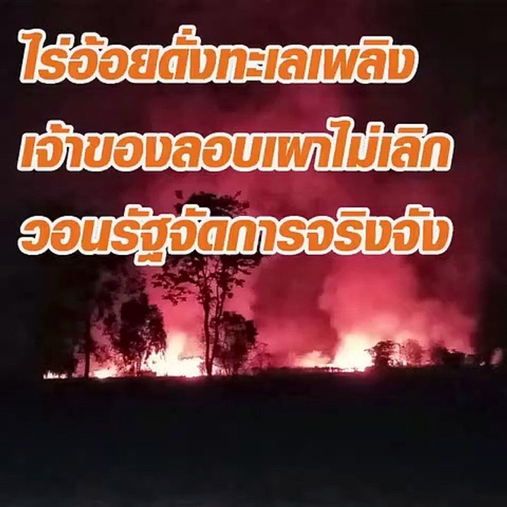 ไร่อ้อยดั่งทะเลเพลิง เจ้าของเผาไม่เลิก