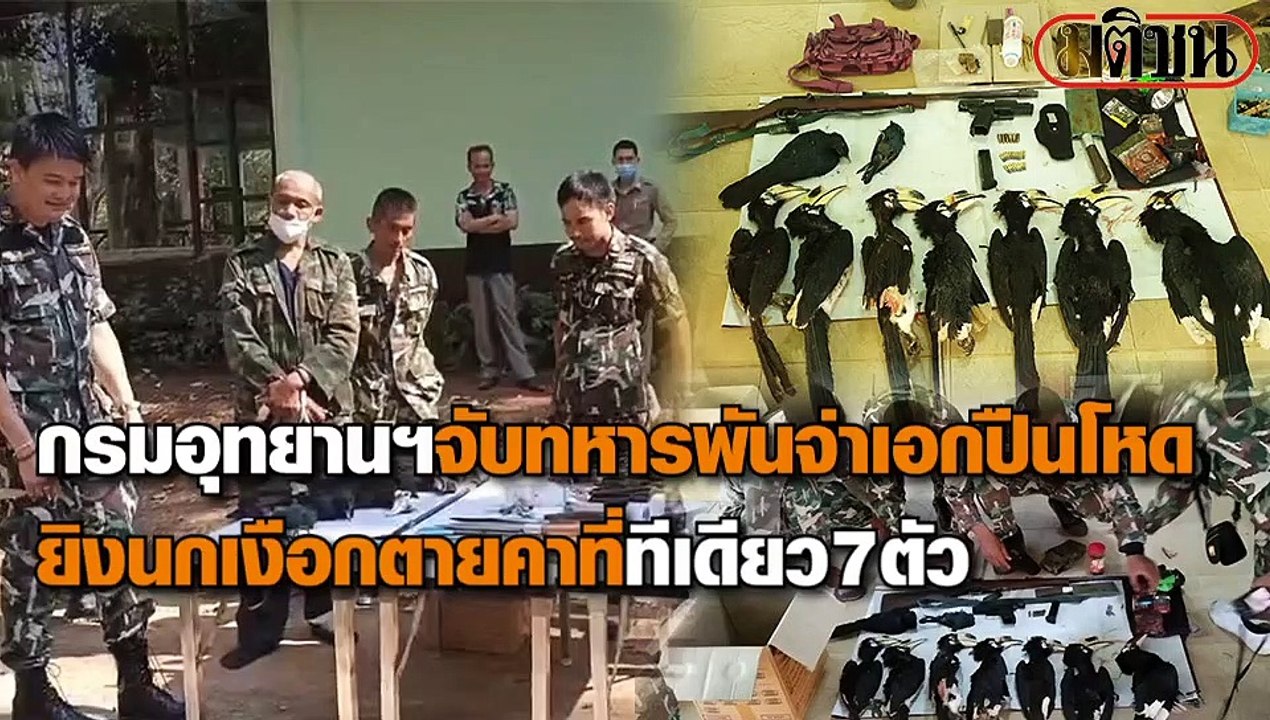 กรมอุทยานจับพันจ่าเอกปืนโหดยิงนกเงือกตายคาที่ ทีเดียว 7 ตัว