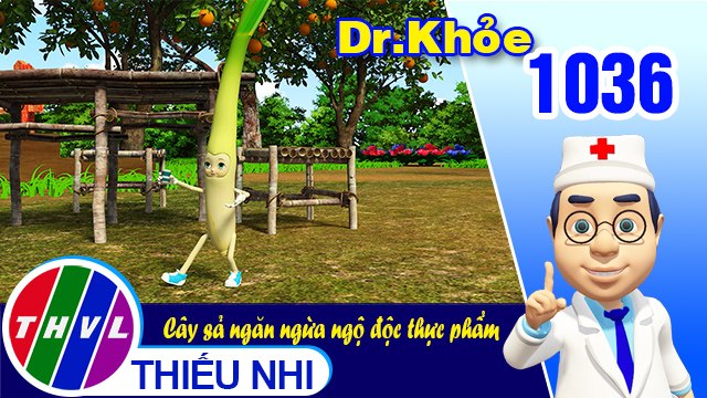 Dr. Khỏe - Tập 1036: Cây sả ngăn ngừa ngộ độc thực phẩm