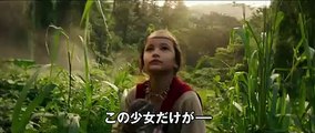 Godzilla vs Kong Japanese Trailer with New Footage!