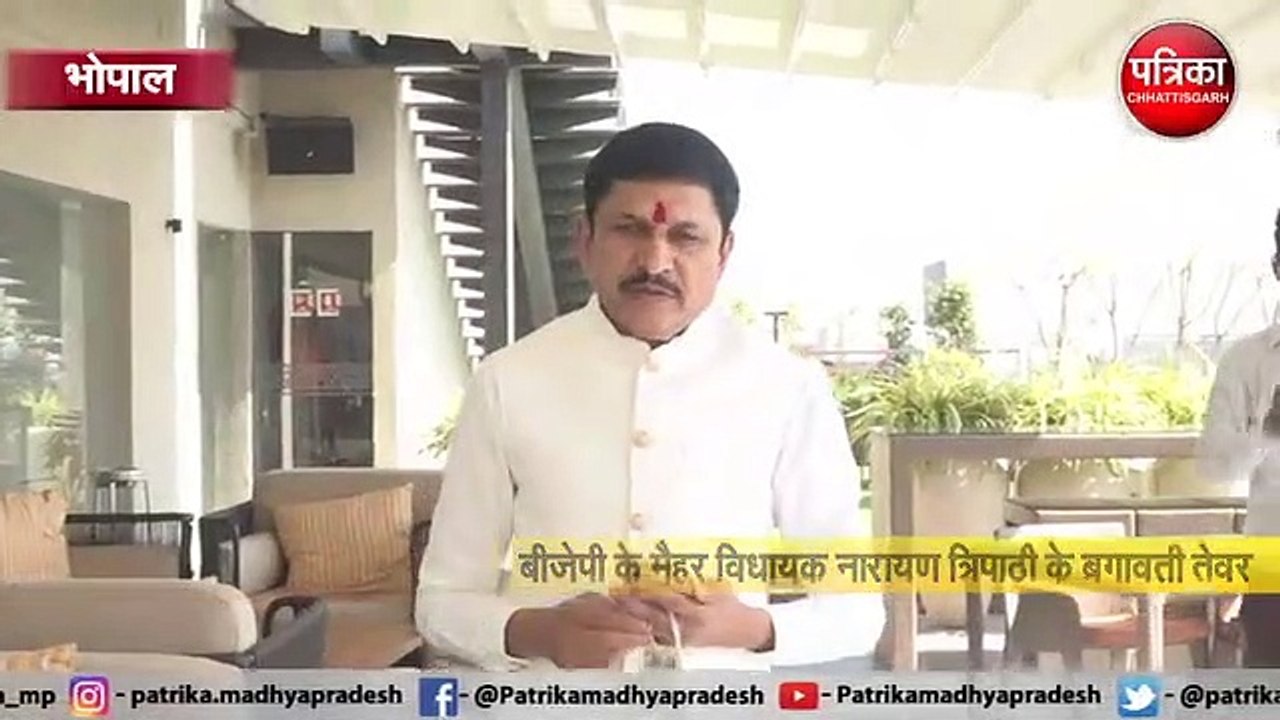 बीजेपी के मैहर विधायक नारायण त्रिपाठी के बगावती तेवर