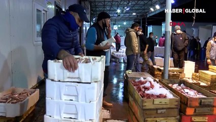 Balık fiyatı halden çıktıktan sonra ikiye katlanıyor: "Yüzde 100 fark var"