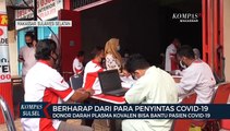 Donor Darah Plasma Konvalesen Bisa Membantu Pasien Covid-19