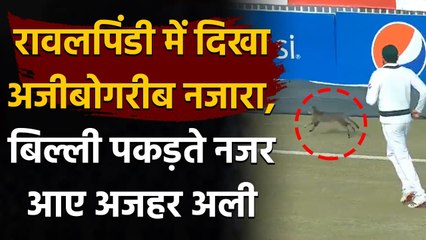 Pak vs Sa 2nd Test: Bizarre seen in Rawalpindi Azhar Ali ran to catch the cat | वनइंडिया हिंदी