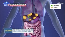 혈관 비만 다이어트 도움 주는 ▸알티지 오메가3◂ TV CHOSUN 20210208 방송