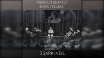 Anadolu Quartet & Burcu Yeşilbaş - Durme
