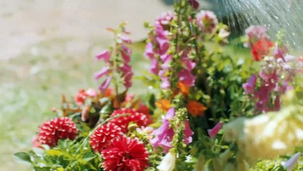 Ивановы-Ивановы 5 сезон 12 серия (2021) HD