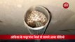 पेट्रोल पंप पर पाइप में अटक गया कोबरा सांप, वीडियो वायरल