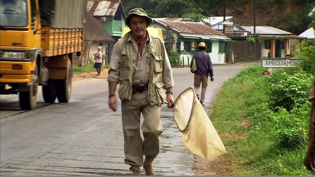 Insectia - Weavers Island