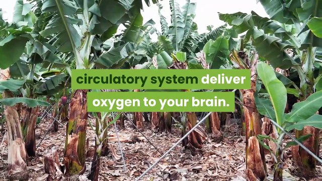 Top 10 Health Benefits of Bananas | Best health tips