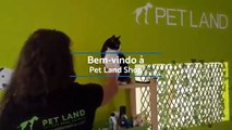 Pet Land - Loja de animais online - Pet Shop Portugal