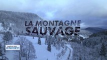 DOCUNEWS : « La montagne sauvage »