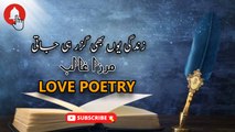 Phir Mujhe Dida E Tar Yaad Aaya | Mirza Ghalib | Love Poetry | Poetry Junction