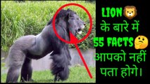 Part 1 Amazing Facts About Lions ,Lion के बारे में अनसुने Facts,अनसुने 55 FactsAbout Lion You Don't Know