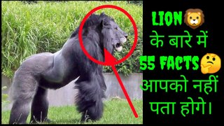 Part 1 Amazing Facts About Lions ,Lion के बारे में अनसुने Facts,अनसुने 55 FactsAbout Lion You Don't Know