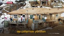 Çatıdan çatıya aşı taşıdılar