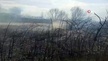 İznik Gölü'nde korkutan yangın 60 dönüm arazi kül oldu