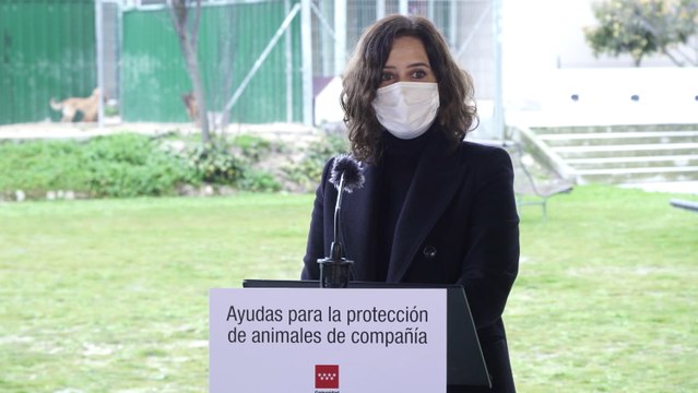 Madrid adelantará ayudas a entidades que fomentan protección de animales