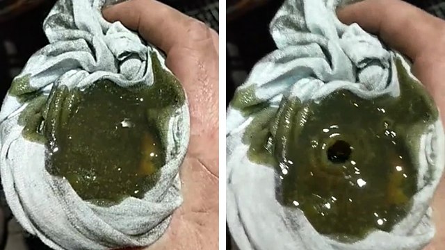 La naissance d'un filtre à huile