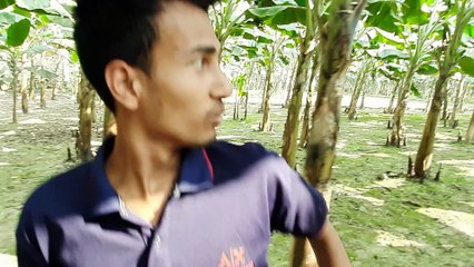 #TRexChase_T Rex Chase - Part 26 - Jurassic World Fan Movie | Dinosaur Movie #rpoboys