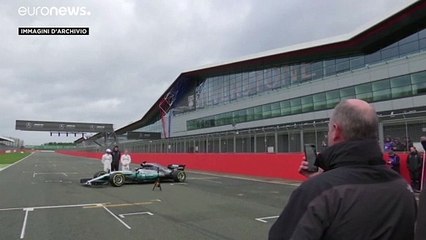 Ufficiale: Hamilton correrà anche quest'anno con la Mercedes