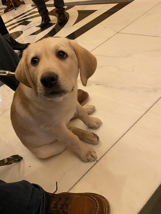 The Squad Just Gained a New Member