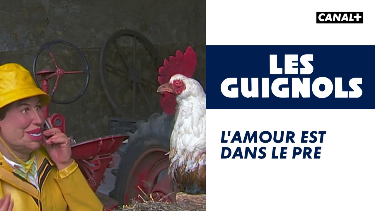 L'amour est dans le pré - Les Guignols - CANAL+