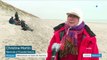 Manche : la baie de Somme, théâtre des naissances de phoques gris