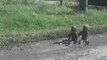 Cette maman retrouve ses enfants en train de jouer dans la boue... La joie d'être parent