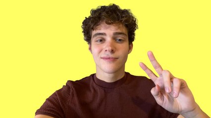 Joshua Bassett "Lie Lie Lie" Official Lyrics & Meaning | Verified