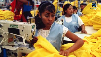 لماذا يدافع الغرب عن البيئة وحقوق العمال فى الدول النامية؟ ليس لأسباب انسانية