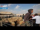 انتشار مراكز بيع الأضاحي في عمّان