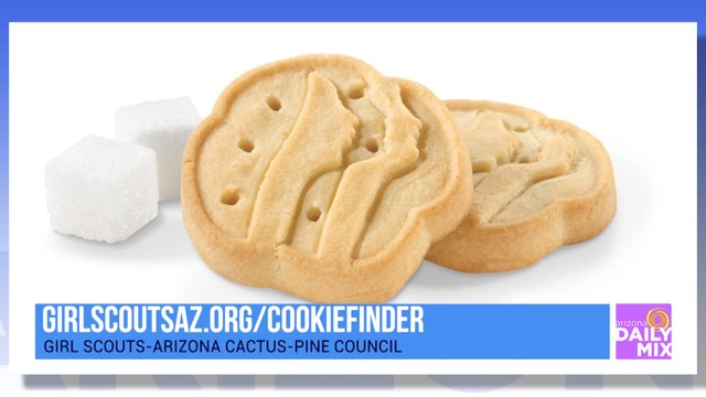 Girl Scout Cookies - Where The Money Goes