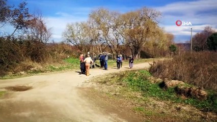 Sazlık yangınında arılarını kurtarmak isterken canından oluyordu