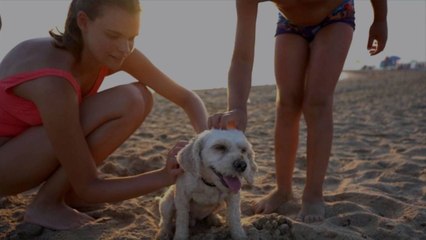 Pamper Yourself and Your Pooch With This Valentine’s Package in Key West